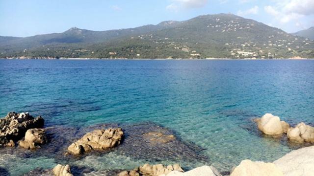 Magnifique Appartement Devant La Plage Propriano  Exterior foto